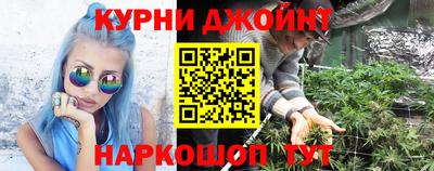 стаф Кимры